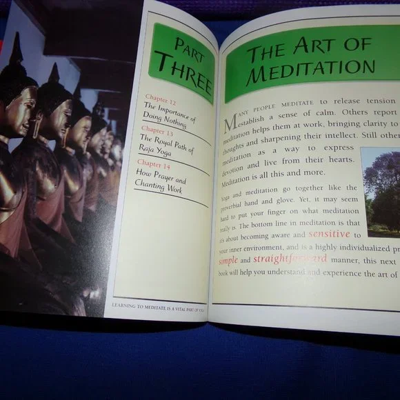 DK Keep It Simple Series (KISS) Yoga Book & New Purple 5 mm Yoga Mat - Picture 9 of 16